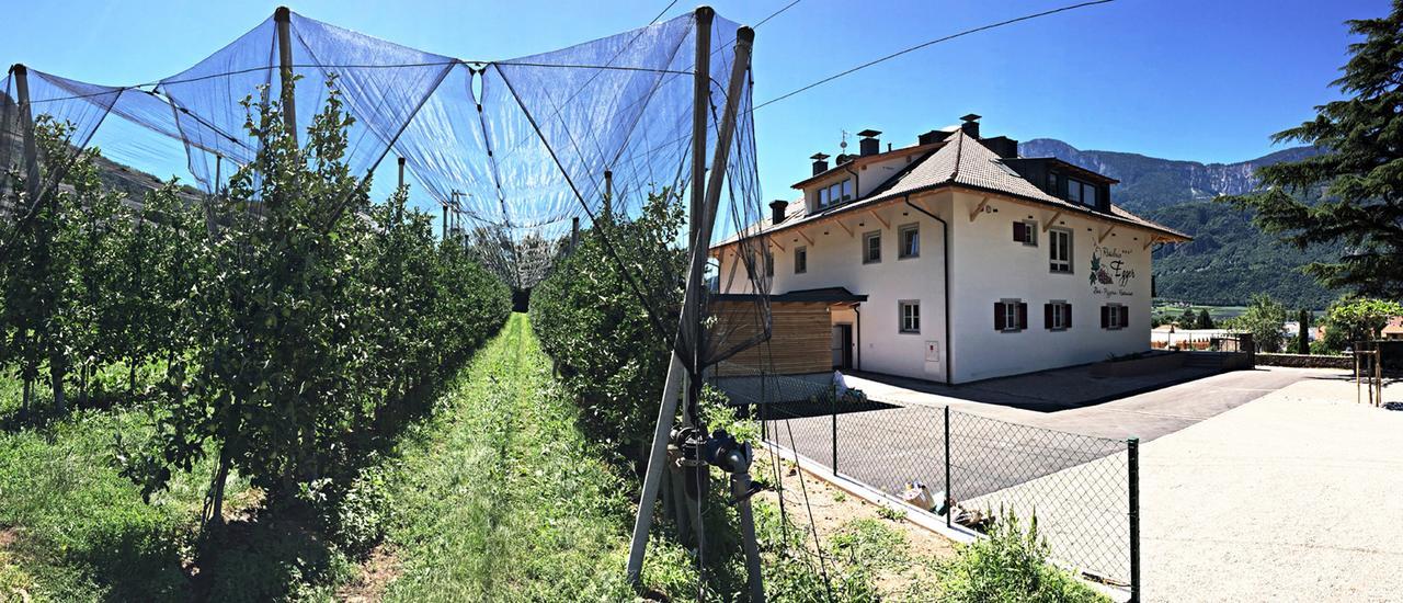 Residence Egger Terlano Exteriér fotografie